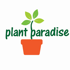 plantparadise.png.png